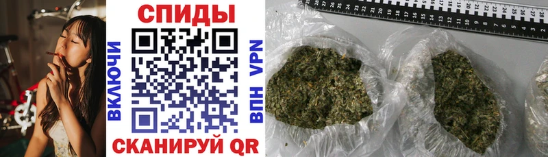 где найти   Бикин  blacksprut ссылка  Бутират 99% 